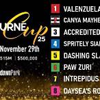 best bet in melbourne cup